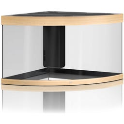 Juwel Trigon 350 LED Aquarium - helles Holz