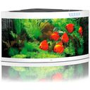 Juwel Trigon 350 LED Aquarium - weiß