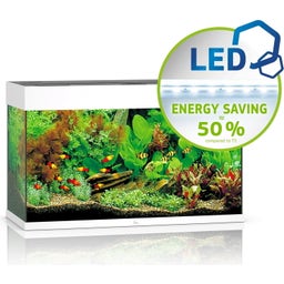 Juwel Rio 125 LED Aquarium - weiß