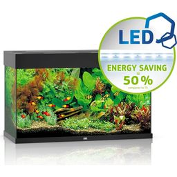 Juwel Rio 125 LED Aquarium - schwarz