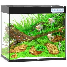 Juwel Lido 200 LED Aquarium