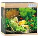 Juwel Lido 120 LED  Aquarium - helles Holz