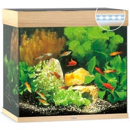 Juwel Lido 120 LED  Aquarium - helles Holz