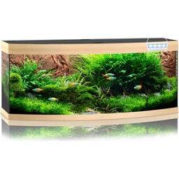 Juwel Vision 450 LED Aquarium - helles Holz