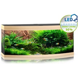 Juwel Vision 450 LED Aquarium - helles Holz