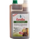 Ewalia Darmvitalsaft - 1 l