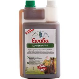 Ewalia Magensaft II - 1 l