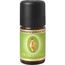 Primavera Eukalyptus globulus bio - 5 ml