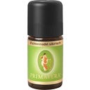 Primavera Fichtennadeln sibirisch - 5 ml