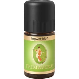 Primavera Ingwer bio