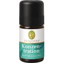 Primavera Konzentration Duftmischung - 5 ml