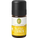 Primavera Leichter Lernen Duftmischung KIDS - 5 ml