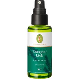 Primavera Energiekick Raumspray bio