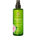 Primavera Rosenblüten Wasser - 100 ml