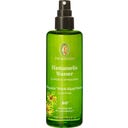 Primavera Hamameliswasser bio - 100 ml