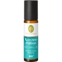 Primavera Konzentration Duft Roll-On bio - 10 ml