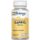 Sustained Release CAPRYL (Caprylsäure), 100 Kapseln