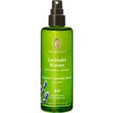 Primavera Lavendelwasser - 100 ml