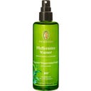Pfefferminzwasser, 100 ml