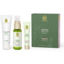 Primavera Starter & Travel Set 