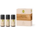 Primavera Set Aroma Sauna Harmonie & Erdung bio - 1 Set