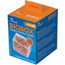 Aquatlantis EasyBox Volcanic Rings - L