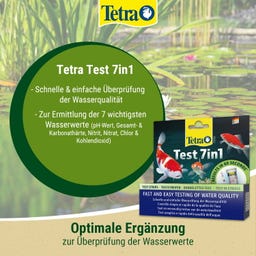 Tetra Pond Fountain AntiAlgae - 250 ml