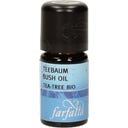 farfalla Teebaum bio Wildsammlung Grand Cru