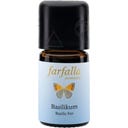 Basilikum Chemotyp Linalool bio Grand Cru