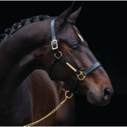 Horseware Ireland Lederhalfter Amigo 