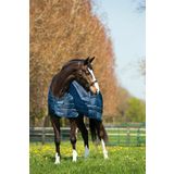 Horseware Liner 100g