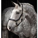 Horseware Ireland Halfter Rambo Micklem 