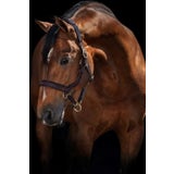 Horseware Ireland Halfter Rambo Micklem "braun"