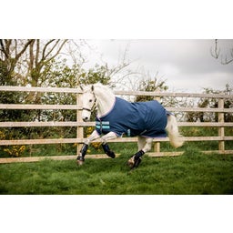 Horseware Ireland Amigo Hero 900 Pony 200g dark blue