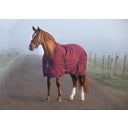 Horseware Ireland Stalldecke Rambo Stable 100g burgundy