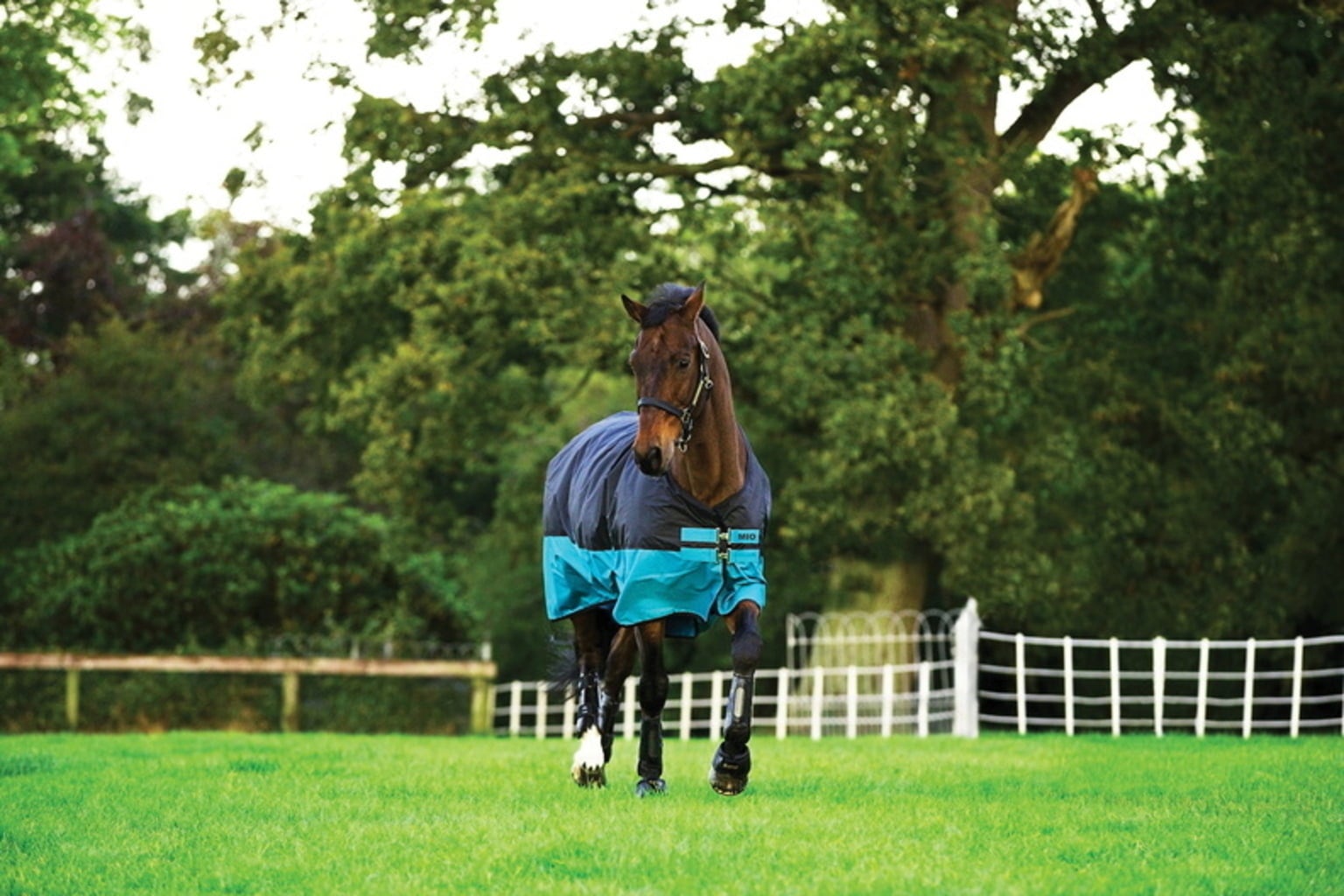 Horseware Ireland Mio Turnout Medium 200 g black/turqoise - 155 cm