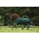 Horseware Ireland Rambo Original Turnout 100g green/red