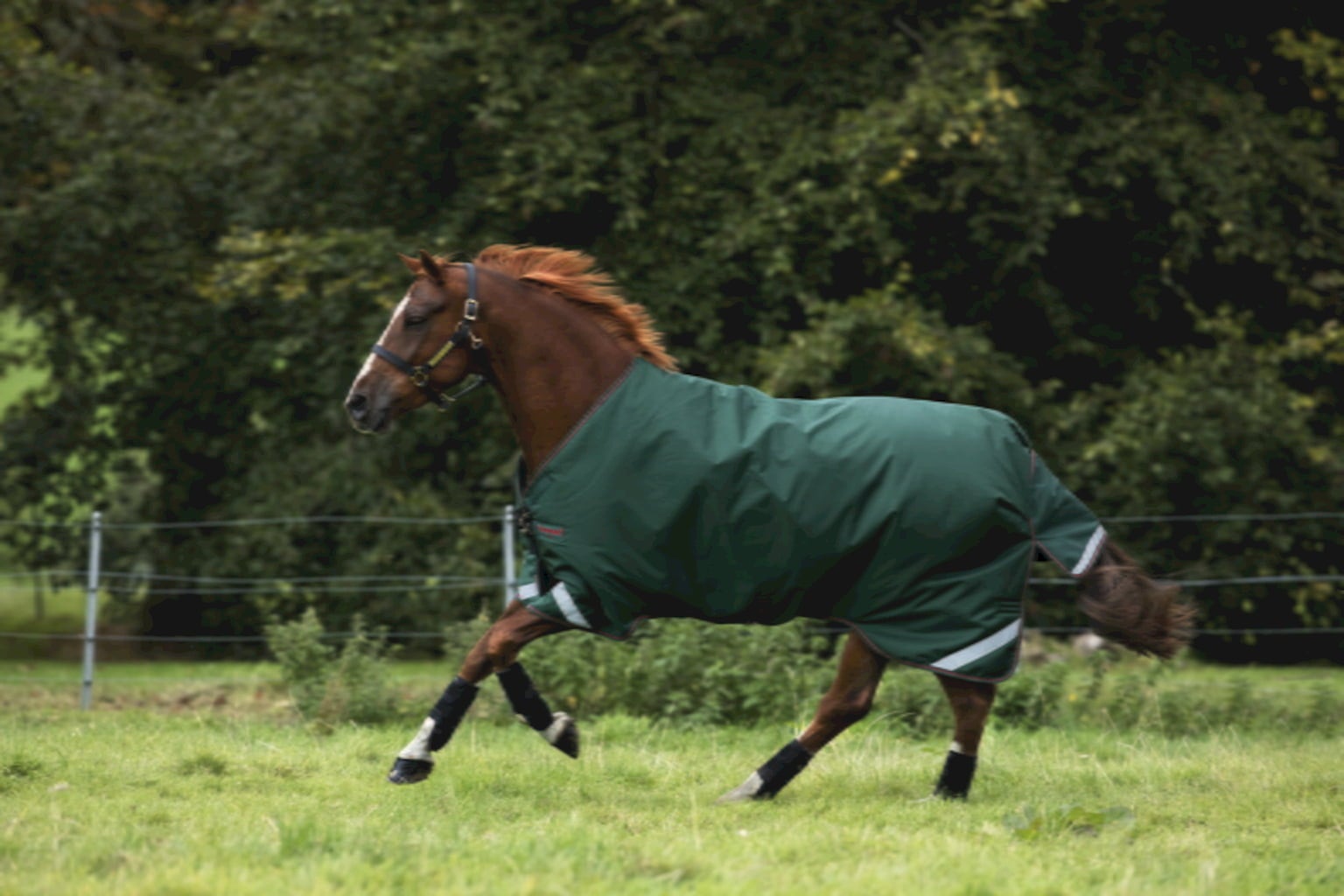 Horseware Ireland Rambo Original Turnout 100g green/red