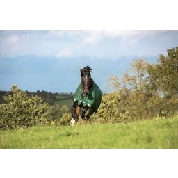 Horseware Ireland Rambo Original Turnout 100g green/red