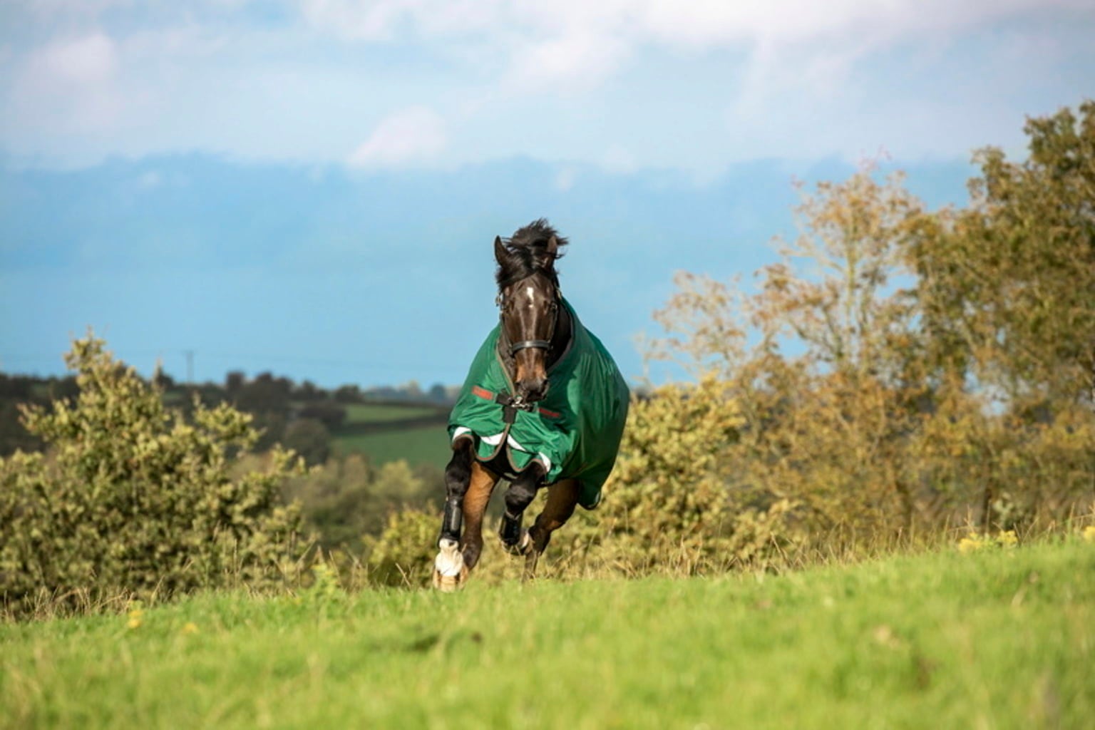 Horseware Ireland Rambo Original Turnout 100g green/red
