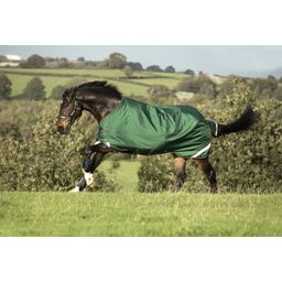 Horseware Ireland Rambo Original Turnout 100g green/red