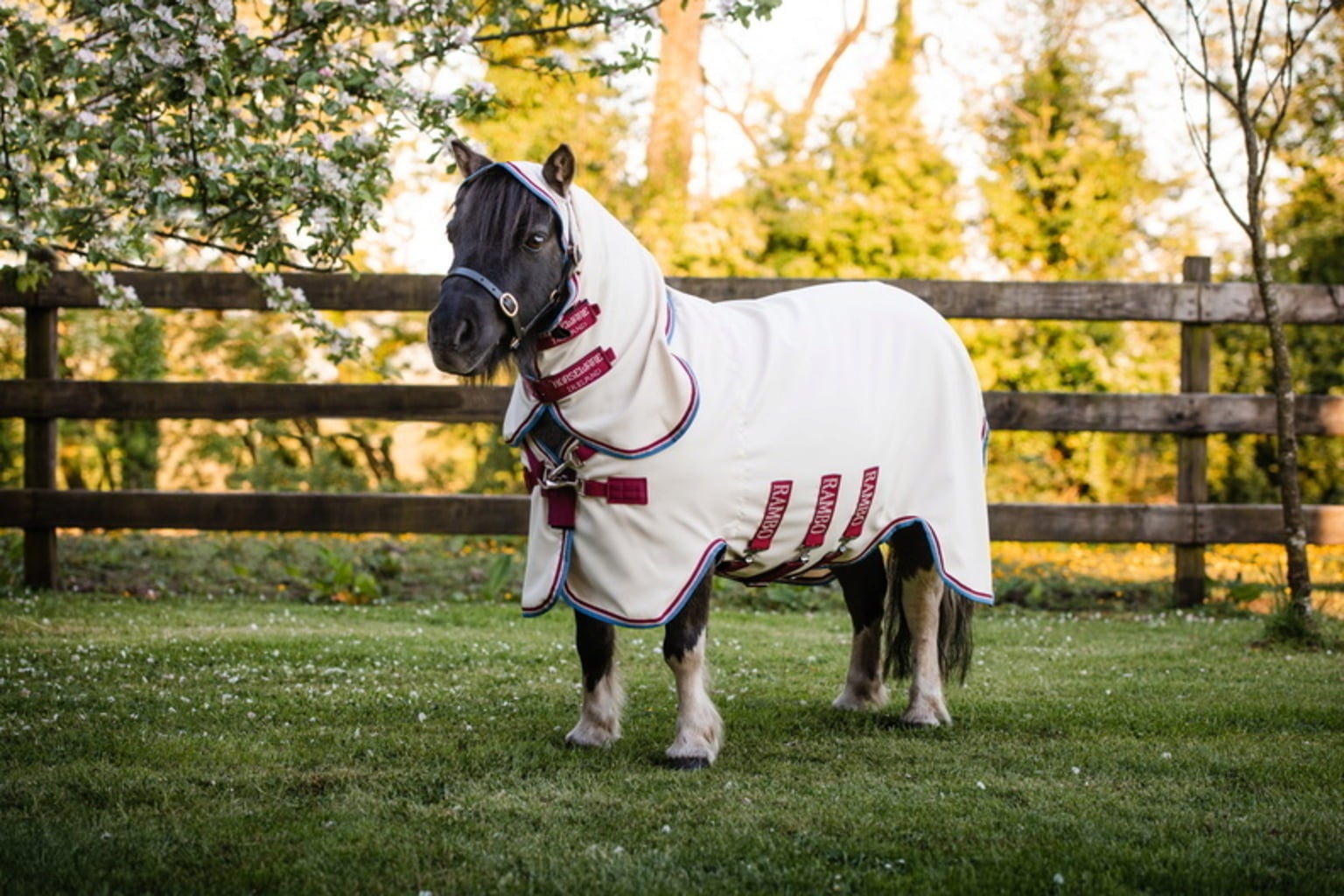Pony-Fliegendecke Rambo Petite Hoody sand/cherry