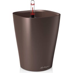 Lechuza Tischgefäß DELTINI Premium