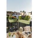 Lechuza Pflanzgefäß BALCONERA Color 80