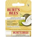 Burt's Bees Hydrating Lip Balm Coconut & Pear
