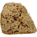 Cose della Natura Honeycomb-Naturschwamm