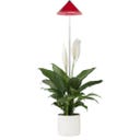 Venso SUNLiTE Pflanzenlampe 7W