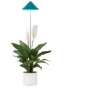 Venso SUNLiTE Pflanzenlampe 7W