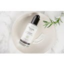 Nourish London Kale 3D Cleanse