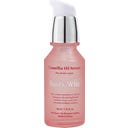 Sandawha Camellia Oil Serum